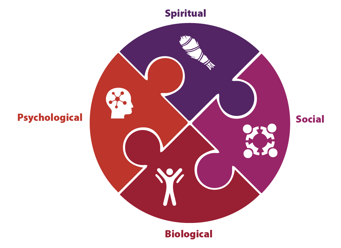 Illustration depicting the holistic treatment approach of the researchers' project.