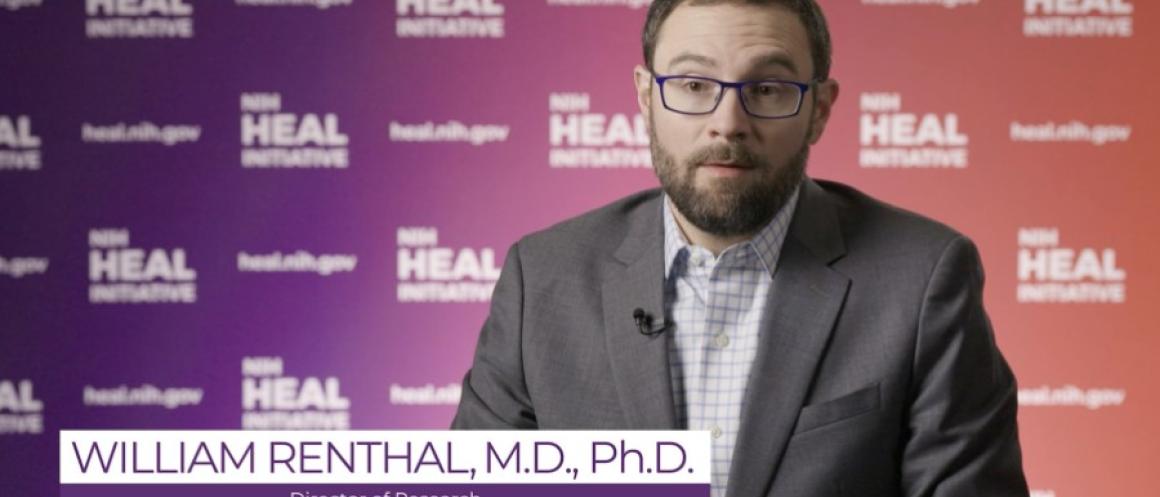Dr. William Renthal talks about studying nerve cell molecules to find new pain treatments.