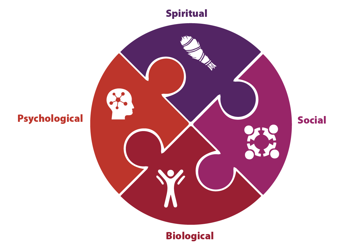 Illustration depicting the holistic treatment approach of the researchers' project.