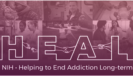 collage of community behind HEAL logo and Helping to End Addiction Long-term spelled out
