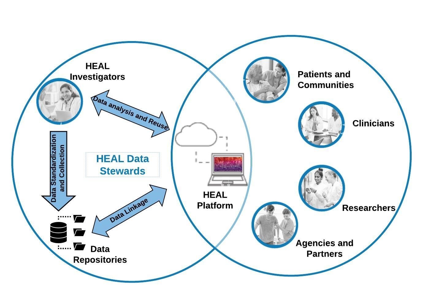 Image shows the players involved in the HEAL data ecosystem. HEAL investigators are generating data, the HEAL Platform is being built by the University of Chicago team and will provide a web interface to search for and analyze HEAL results and data. The Platform will connect to HEAL-generated data stored in various secured repositories. The HEAL-funded RENCI/RTI team will provide data management, stewardship, and support to help investigators make their data FAIR and to connect to the Platform.