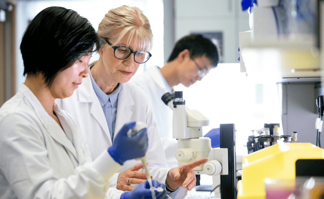 Researchers in a laboratory