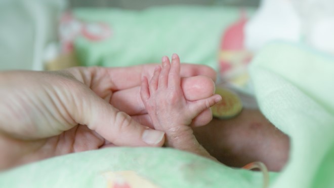 Hand of a mother holding baby's hand in a NICU.