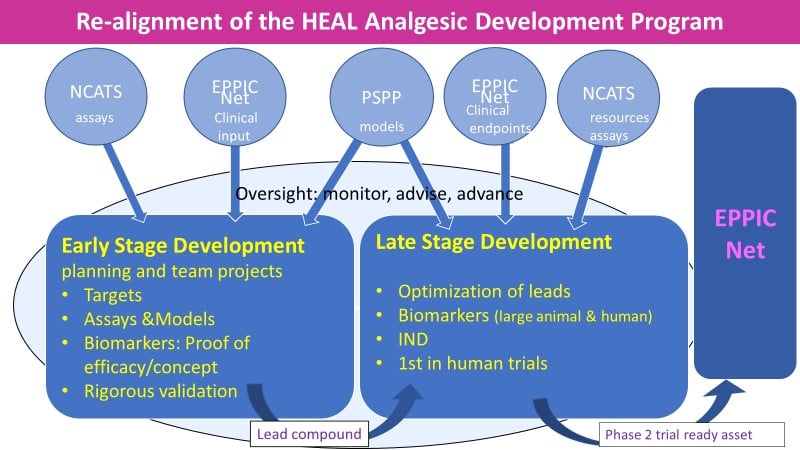 Illustration of the components of the HEAL Analgesic Development Program