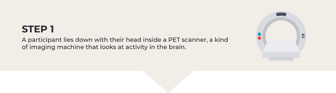 Step 1. A participant lies down with their head inside a PET scanner, a kind of imaging machine that looks at activity in the brain.