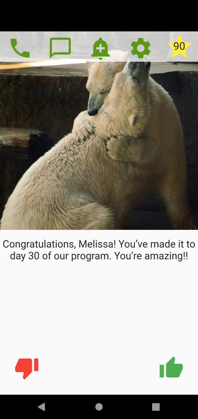 Screenshot from a smartphone app showing hugging polar bears