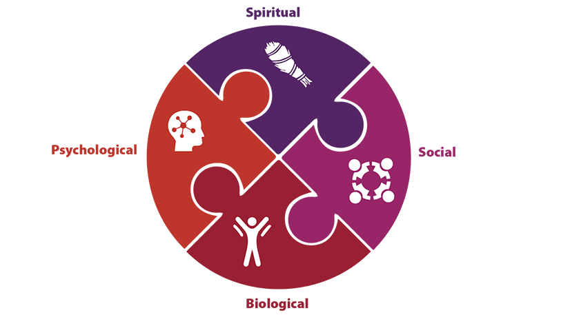 Illustration depicting the holistic treatment approach of the researchers' project.