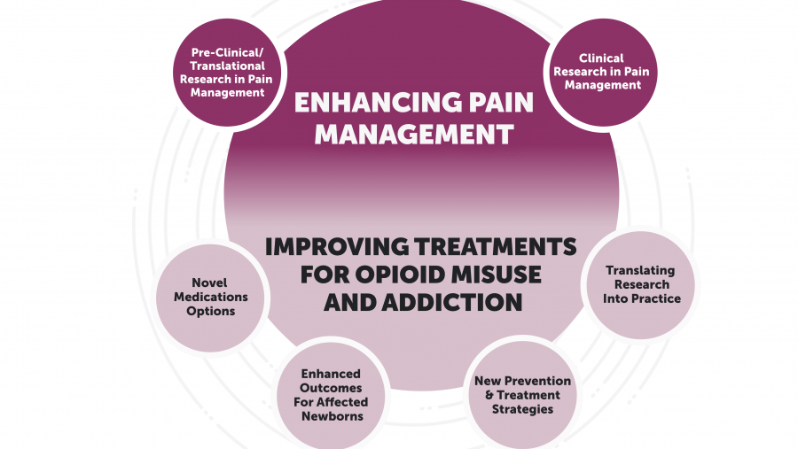 The NIH HEAL Initiative’s six research focus areas are grouped in two themes: enhancing pain management and improving treatment for opioid misuse and addiction. Learn more about the NIH HEAL Initiative’s research focus areas.